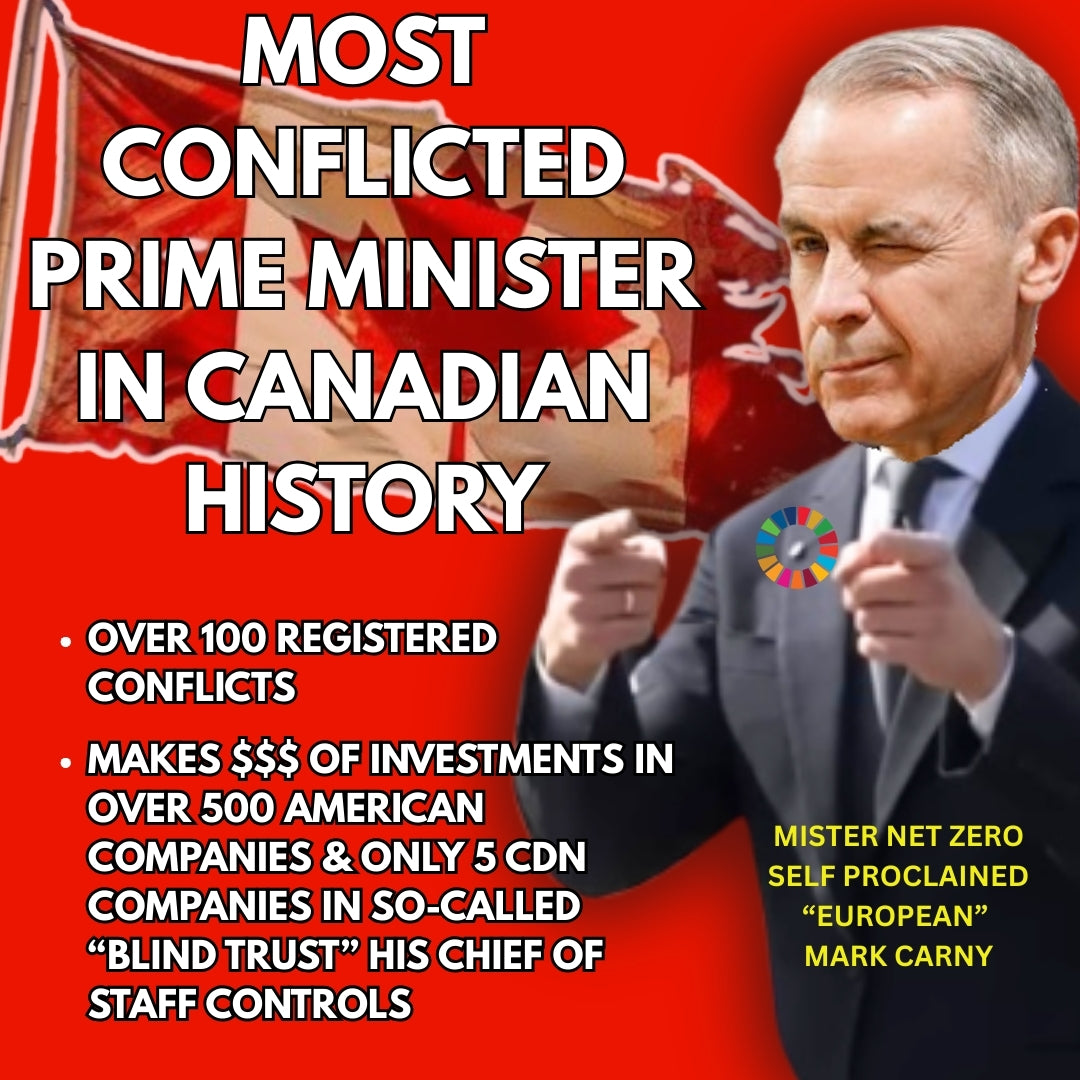 13. Trigger Stickers - Mark Carney - Mister Net Zero (Stand on Guard)