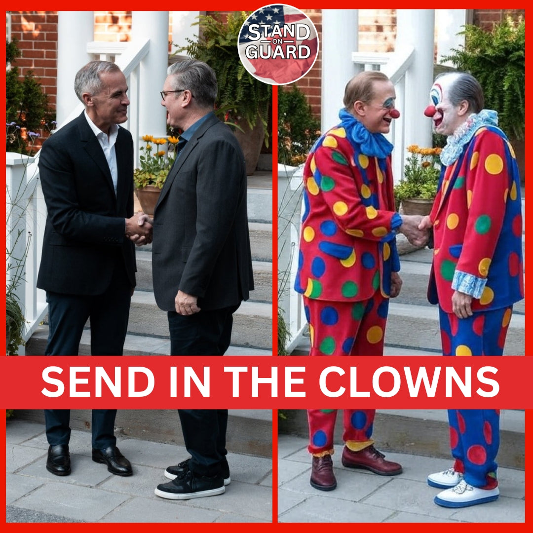 11. Trigger Stickers -- Carney is the Crisis Stickers (Stand on Guard)