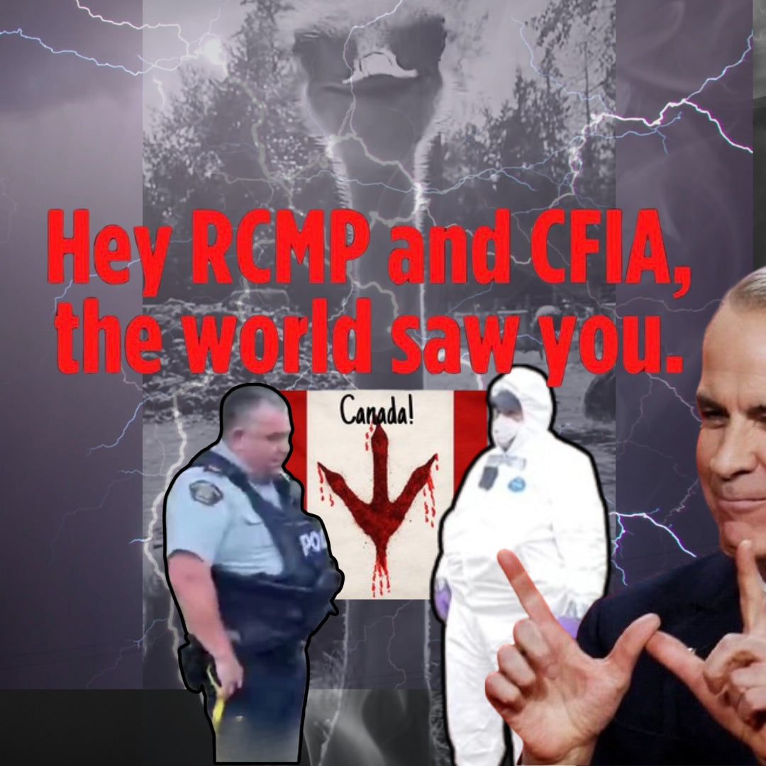 15. Trigger Stickers --Justice for Universal Ostriches Tribute Sticker Page (Stand on Guard)