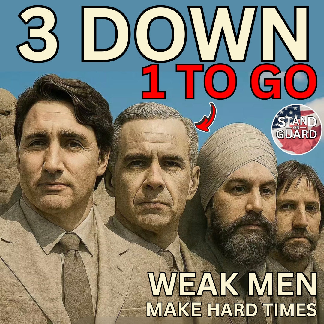 14. Trigger Stickers - 3 Down 1 to Go (Stand on Guard)