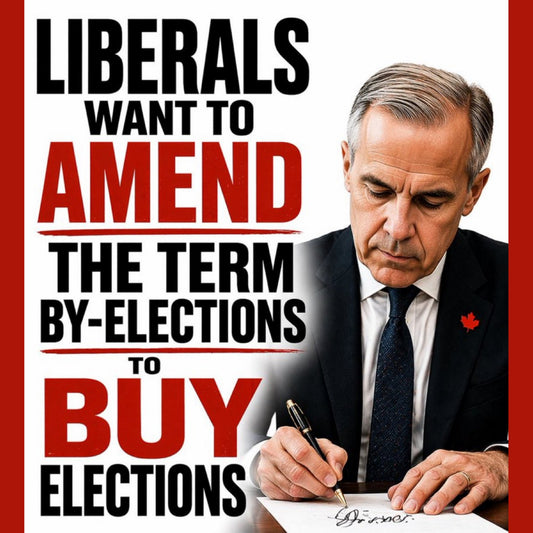 22. Trigger Stickers -- Carney's Manual: How to Buy an Election (Stand on Guard)