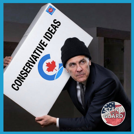 22. Trigger Stickers -- Carney's Manual: How to Buy an Election (Stand on Guard)