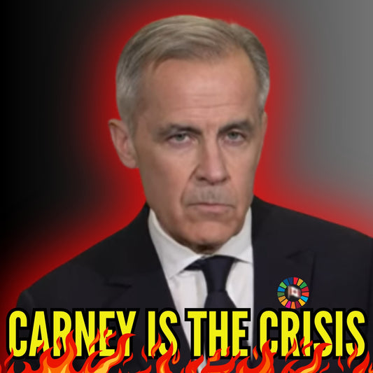 11. Trigger Stickers -- Carney is the Crisis Stickers (Stand on Guard)