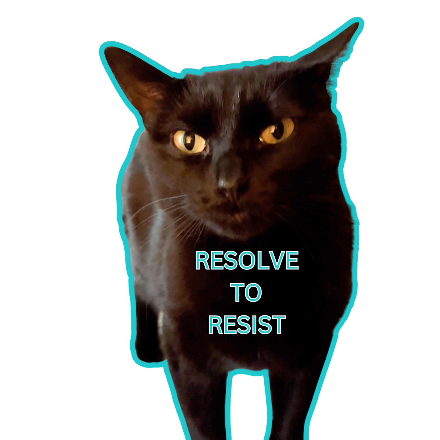 Socks Resolve to Resist
